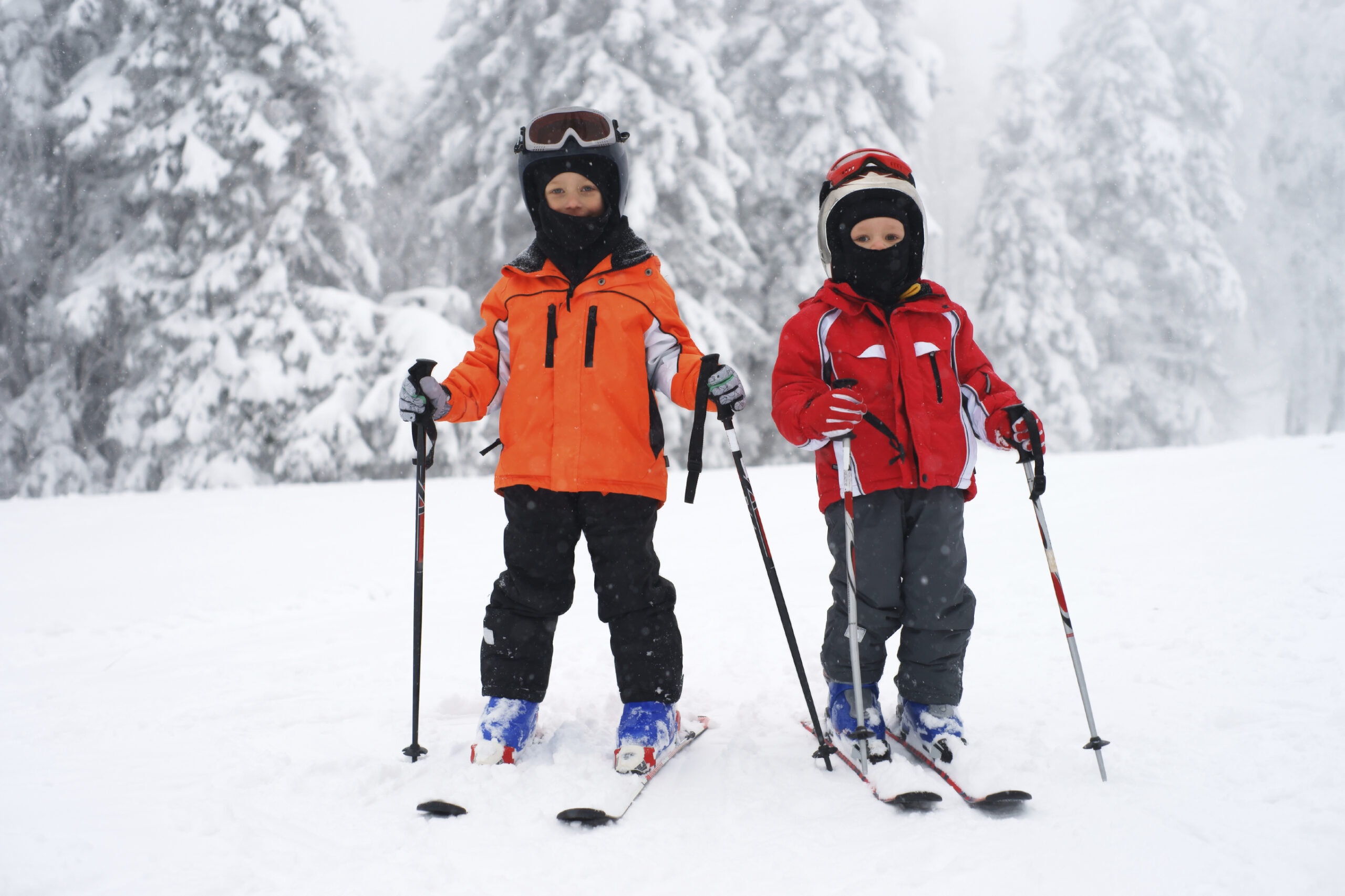 Wellness In Action - Two Kids skiing