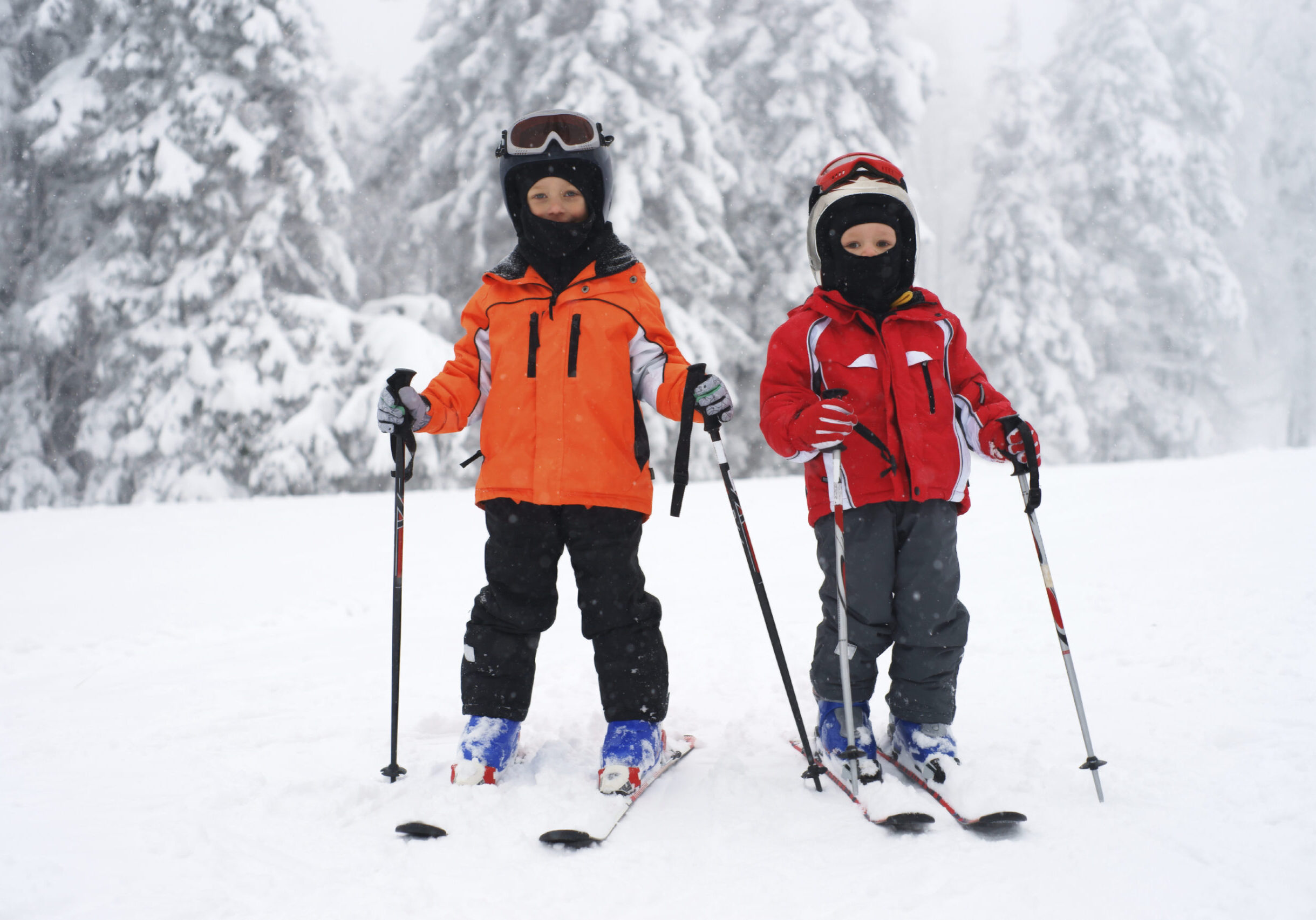 Wellness In Action - Two Kids skiing